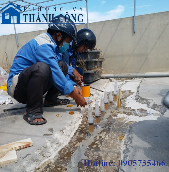 Dự Án Thực Tế